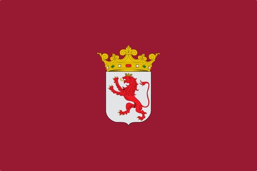 Bandera de la provincia de Leon