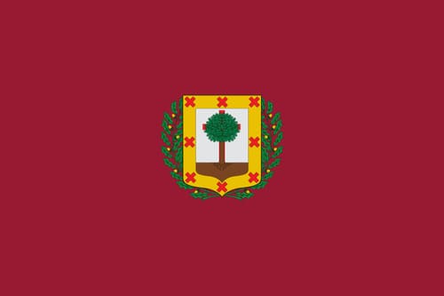 Bandera de la provincia de Vizcaya